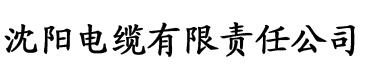 vr亚洲不卡二区三区三区四区电缆厂logo